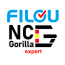 FILOU-NC-Go/expertWi